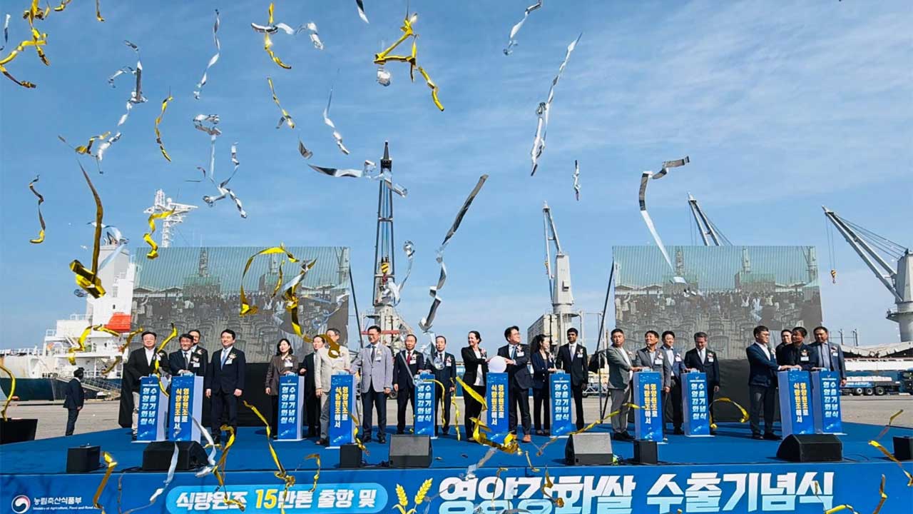 Rohingya - south korea